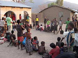 MALAWI SUPPORT ACTIVITY