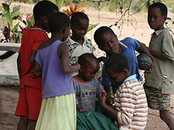 MALAWI SUPPORT ACTIVITY